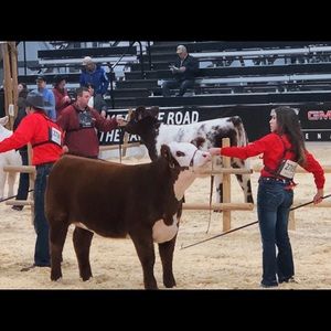 Meet your Posher, Summer